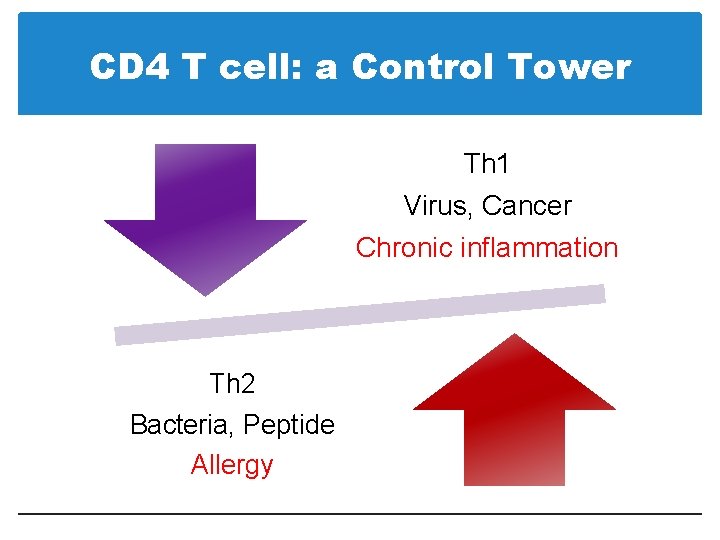 CD 4 T cell: a Control Tower Th 1 Virus, Cancer Chronic inflammation Th