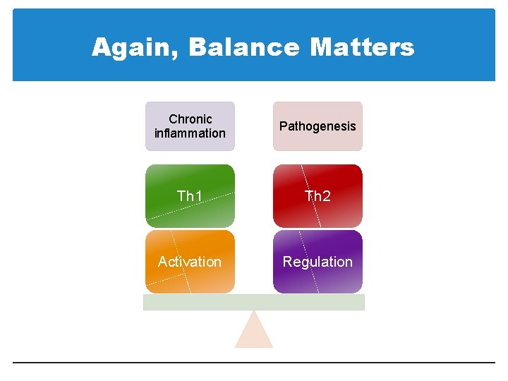 Again, Balance Matters Chronic inflammation Pathogenesis Th 1 Th 2 Activation Regulation 