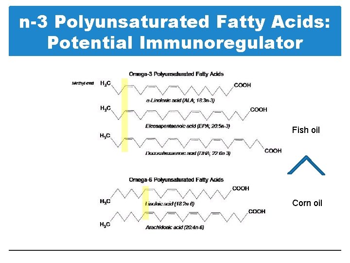 n-3 Polyunsaturated Fatty Acids: Potential Immunoregulator Fish oil Corn oil 