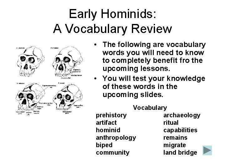 Early Hominids: A Vocabulary Review • The following are vocabulary words you will need