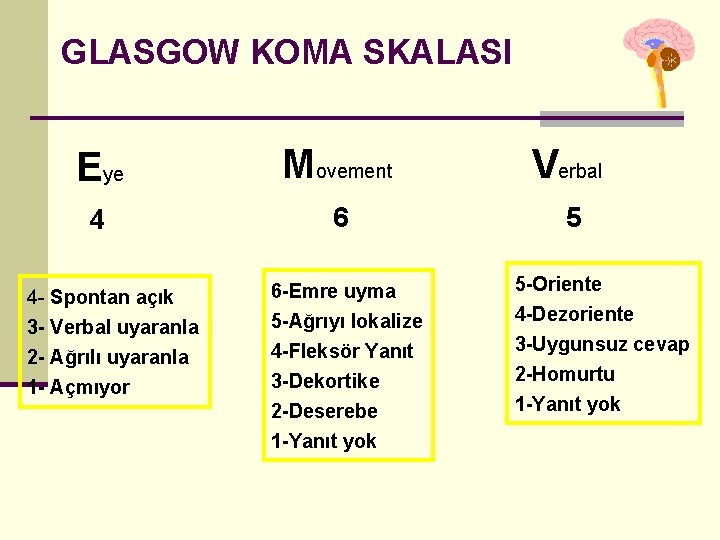 GLASGOW KOMA SKALASI Eye Movement Verbal 4 6 5 4 - Spontan açık 3