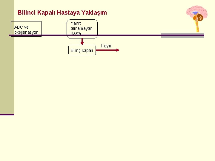 Bilinci Kapalı Hastaya Yaklaşım ABC ve oksijenasyon Yanıt alınamayan hasta Bilinç kapalı hayır Bilinci Kapalı Hastaya Yaklaşım ABC ve oksijenasyon Yanıt alınamayan hasta Bilinç kapalı hayır