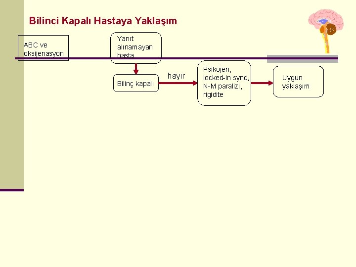 Bilinci Kapalı Hastaya Yaklaşım ABC ve oksijenasyon Yanıt alınamayan hasta Bilinç kapalı hayır Psikojen,