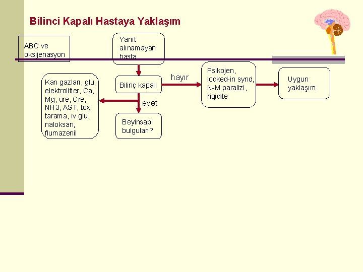 Bilinci Kapalı Hastaya Yaklaşım ABC ve oksijenasyon Kan gazları, glu, elektrolitler, Ca, Mg, üre, Bilinci Kapalı Hastaya Yaklaşım ABC ve oksijenasyon Kan gazları, glu, elektrolitler, Ca, Mg, üre,