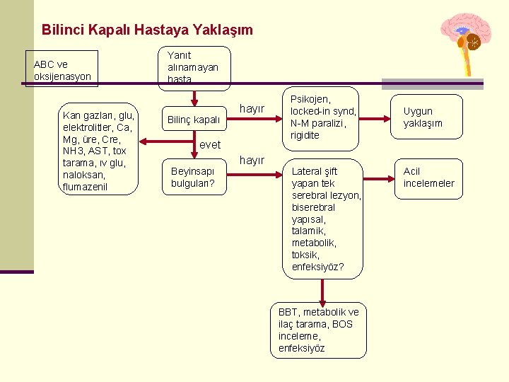 Bilinci Kapalı Hastaya Yaklaşım ABC ve oksijenasyon Kan gazları, glu, elektrolitler, Ca, Mg, üre,