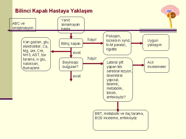 Bilinci Kapalı Hastaya Yaklaşım ABC ve oksijenasyon Kan gazları, glu, elektrolitler, Ca, Mg, üre,