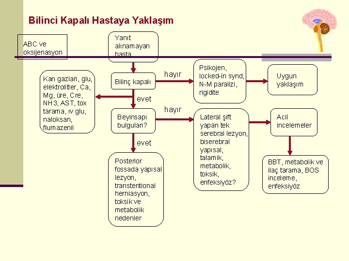 Bilinci Kapalı Hastaya Yaklaşım ABC ve oksijenasyon Kan gazları, glu, elektrolitler, Ca, Mg, üre, Bilinci Kapalı Hastaya Yaklaşım ABC ve oksijenasyon Kan gazları, glu, elektrolitler, Ca, Mg, üre,