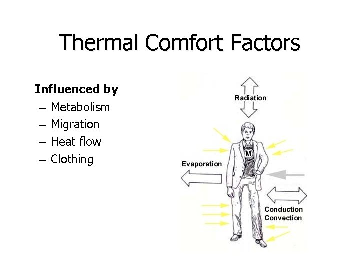 Thermal Comfort Factors Influenced by – Metabolism – Migration – Heat flow – Clothing