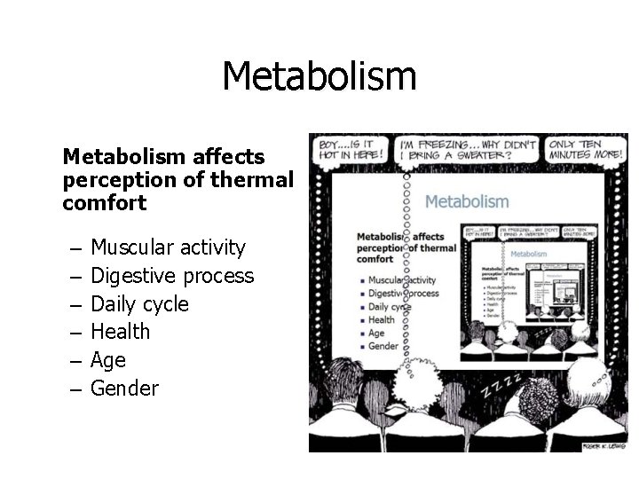 Metabolism affects perception of thermal comfort – – – Muscular activity Digestive process Daily