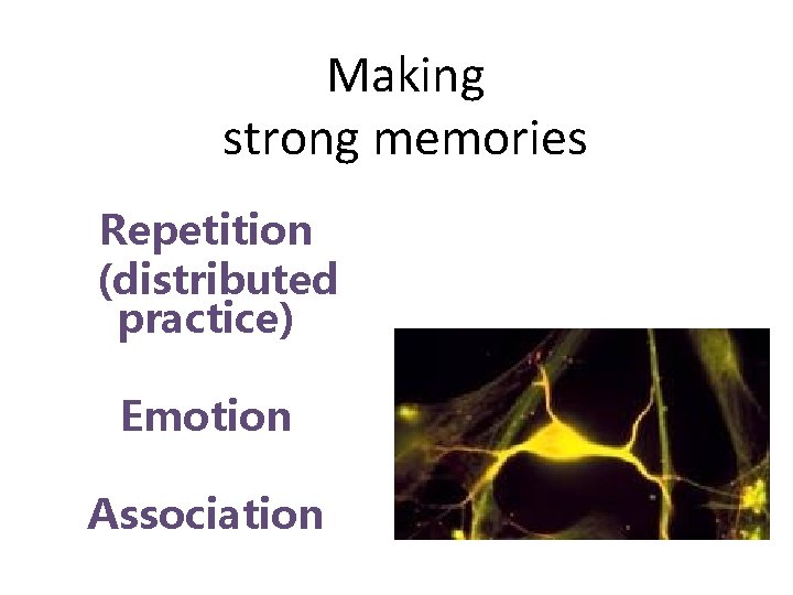 Making strong memories Repetition (distributed practice) Emotion Association 