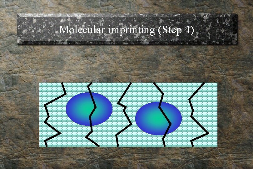 Molecular imprinting (Step 4) 