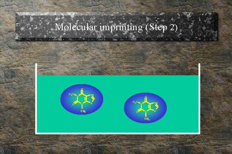 Molecular imprinting (Step 2) O H 3 C O NH N N CH 3