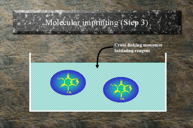 Molecular imprinting (Step 3) Cross-linking monomer Initiating reagent O H 3 C O NH