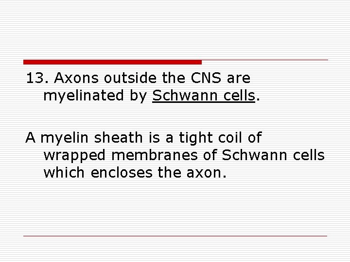 13. Axons outside the CNS are myelinated by Schwann cells. A myelin sheath is
