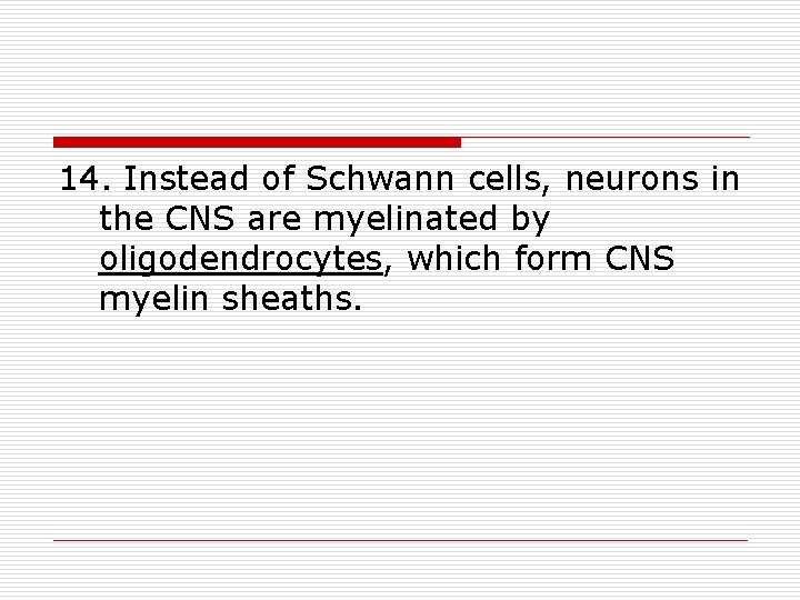 14. Instead of Schwann cells, neurons in the CNS are myelinated by oligodendrocytes, which