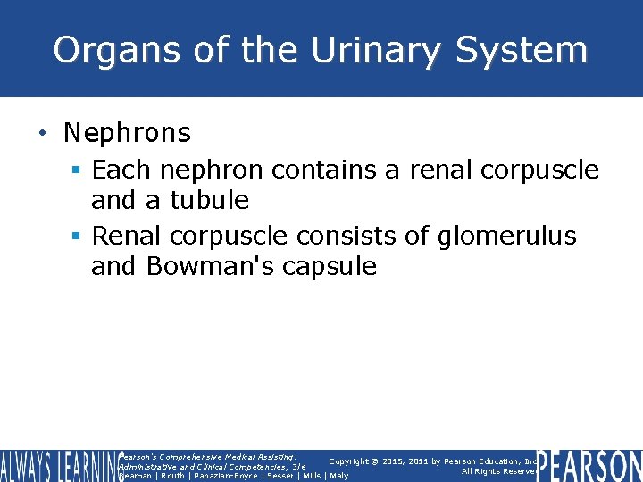 Organs of the Urinary System • Nephrons § Each nephron contains a renal corpuscle