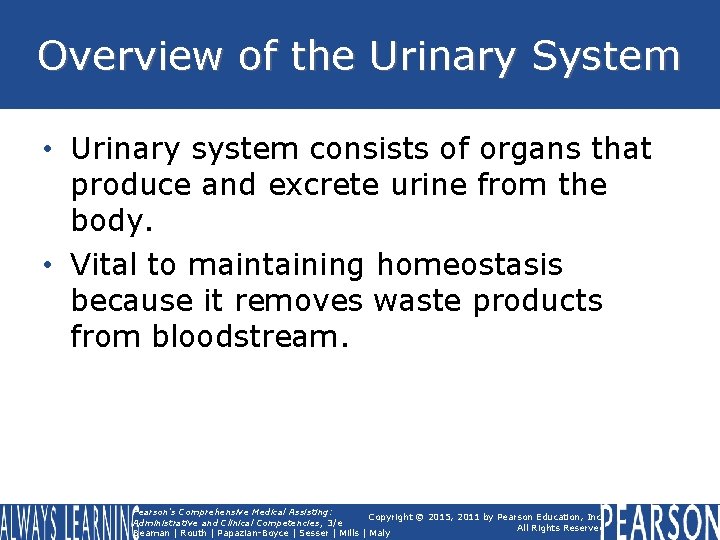 Overview of the Urinary System • Urinary system consists of organs that produce and