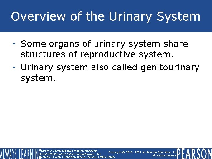 Overview of the Urinary System • Some organs of urinary system share structures of