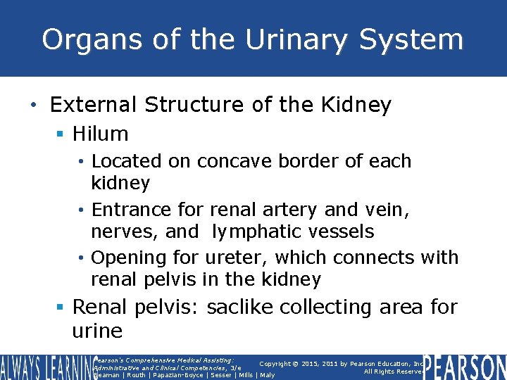 Organs of the Urinary System • External Structure of the Kidney § Hilum •