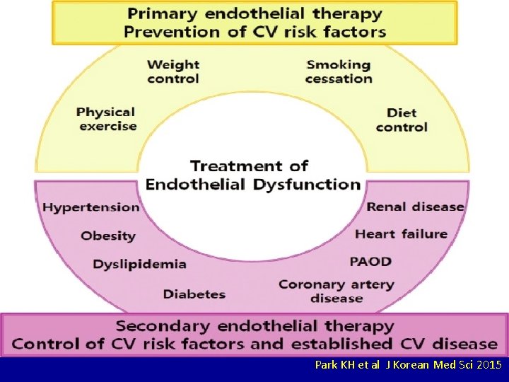Park KH et al J Korean Med Sci 2015 