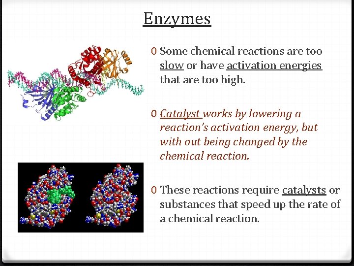 Enzymes 0 Some chemical reactions are too slow or have activation energies that are