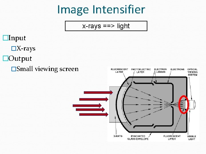 Image Intensifier x-rays ==> light �Input �X-rays �Output �Small viewing screen 