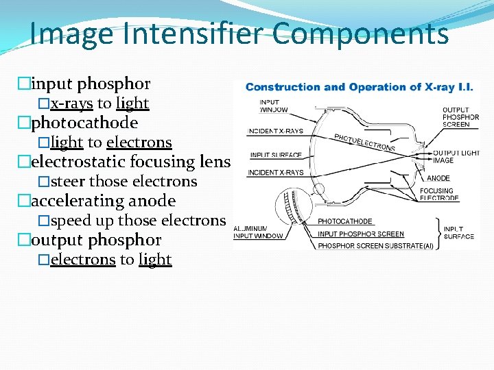 Image Intensifier Components �input phosphor �x-rays to light �photocathode �light to electrons �electrostatic focusing