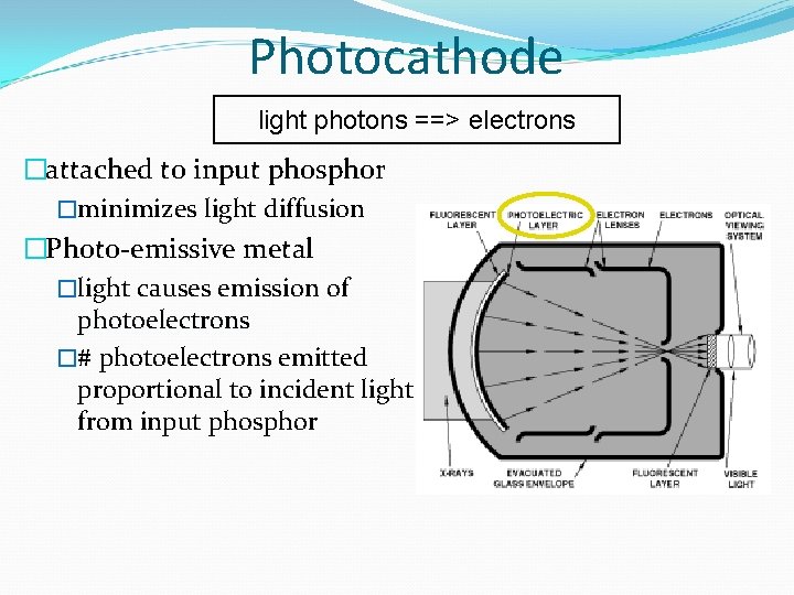 Photocathode light photons ==> electrons �attached to input phosphor �minimizes light diffusion �Photo-emissive metal