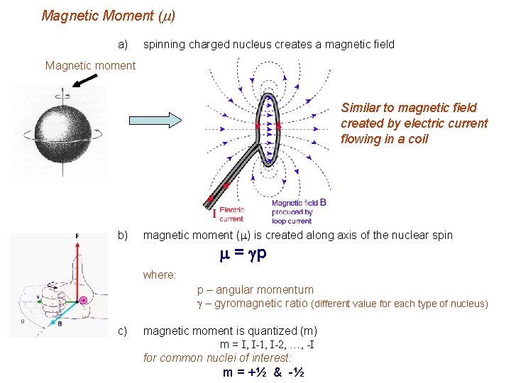 Magnetic Moment (m) a) spinning charged nucleus creates a magnetic field Magnetic moment Similar