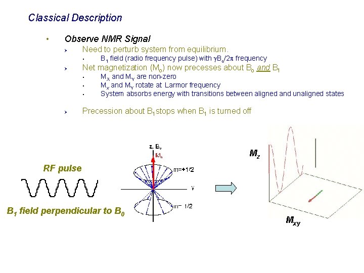 Classical Description • Observe NMR Signal Ø Need to perturb system from equilibrium. §