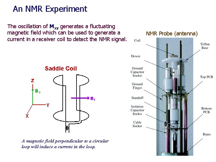 An NMR Experiment The oscillation of Mxy generates a fluctuating magnetic field which can