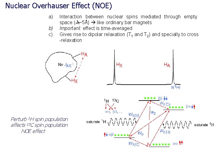 Nuclear Overhauser Effect (NOE) a) b) c) Interaction between nuclear spins mediated through empty