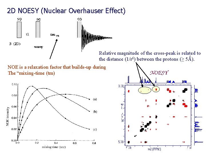 2 D NOESY (Nuclear Overhauser Effect) Relative magnitude of the cross-peak is related to