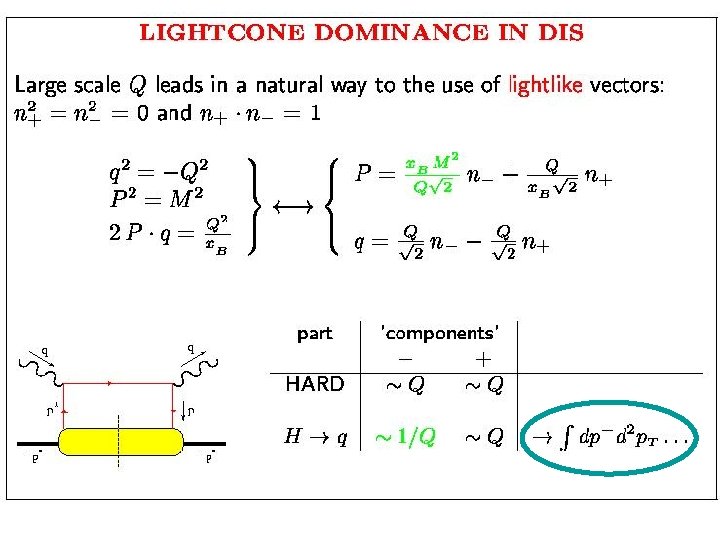 Lightcone dominance in DIS 