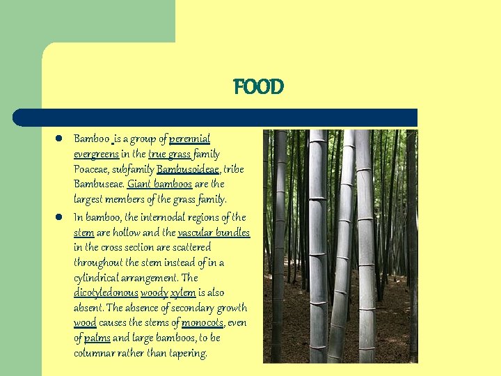 FOOD l l Bamboo is a group of perennial evergreens in the true grass