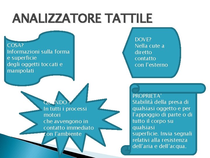 ANALIZZATORE TATTILE COSA? Informazioni sulla forma e superficie degli oggetti toccati e manipolati QUANDO