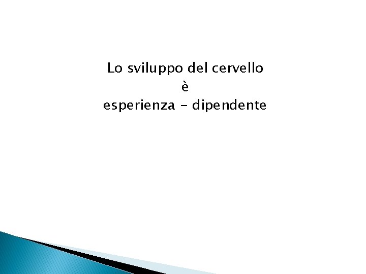 Lo sviluppo del cervello è esperienza - dipendente 