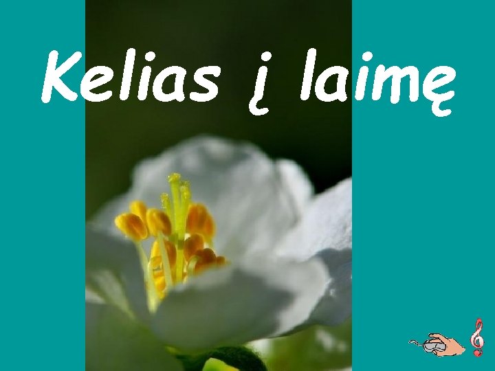 Kelias į laimę 