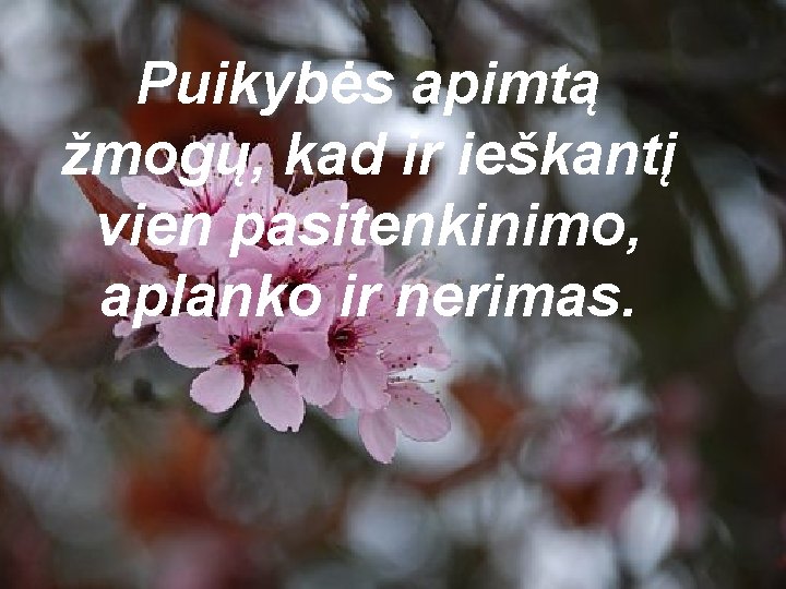 Puikybės apimtą žmogų, kad ir ieškantį vien pasitenkinimo, aplanko ir nerimas. 