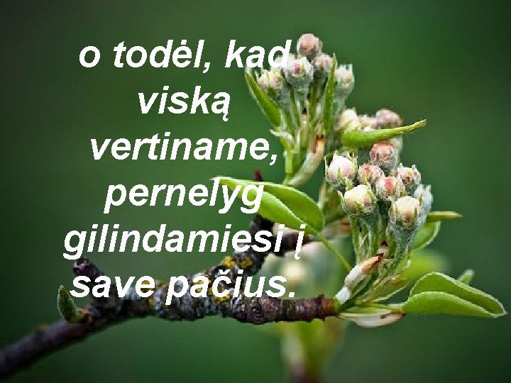 o todėl, kad viską vertiname, pernelyg gilindamiesi į save pačius. 