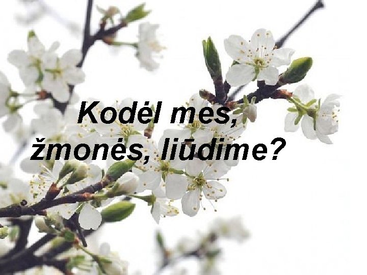 Kodėl mes, žmonės, liūdime? 