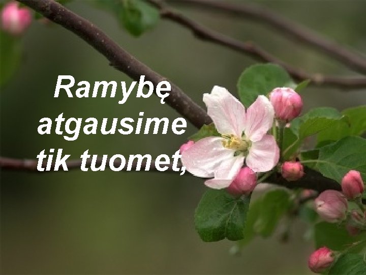 Ramybę atgausime tik tuomet, 