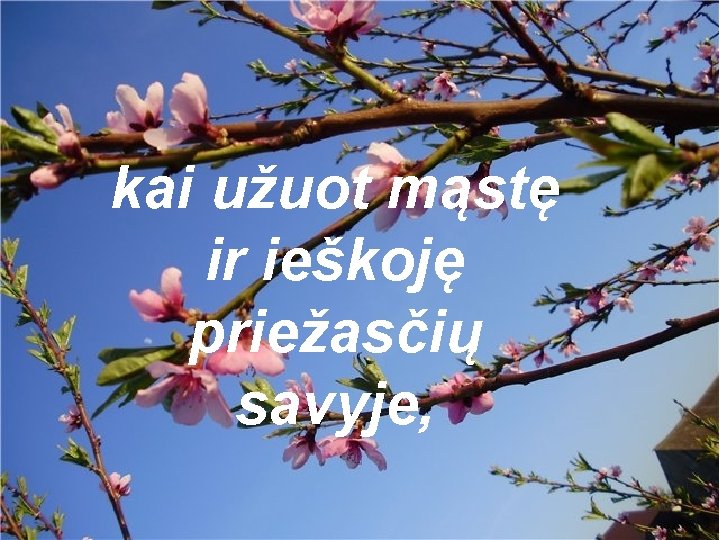 kai užuot mąstę ir ieškoję priežasčių savyje, 