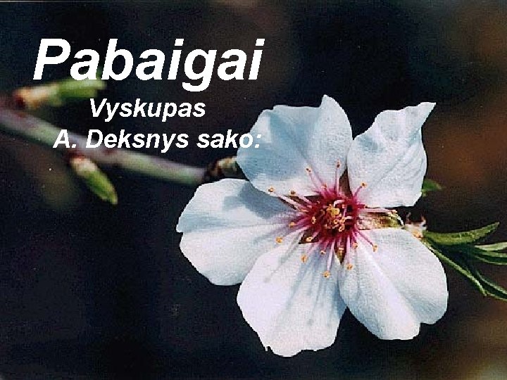 Pabaigai Vyskupas A. Deksnys sako: 