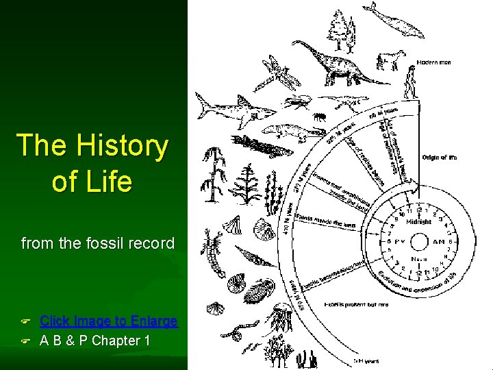 The History of Life from the fossil record F F Click Image to Enlarge