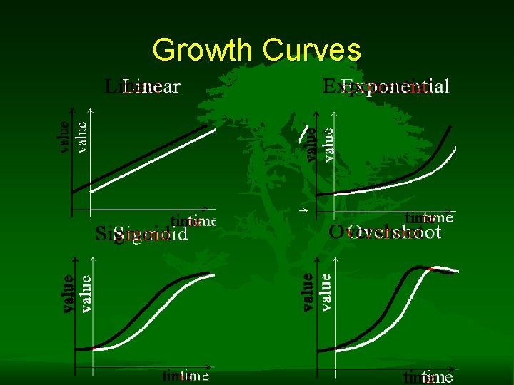 Growth Curves Growth Curves