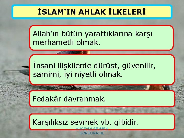 İSLAM'IN AHLAK İLKELERİ Allah'ın bütün yarattıklarına karşı merhametli olmak. İnsani ilişkilerde dürüst, güvenilir, samimi,