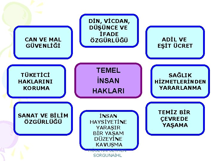 CAN VE MAL GÜVENLİĞİ TÜKETİCİ HAKLARINI KORUMA SANAT VE BİLİM ÖZGÜRLÜĞÜ DİN, VİCDAN, DÜŞÜNCE