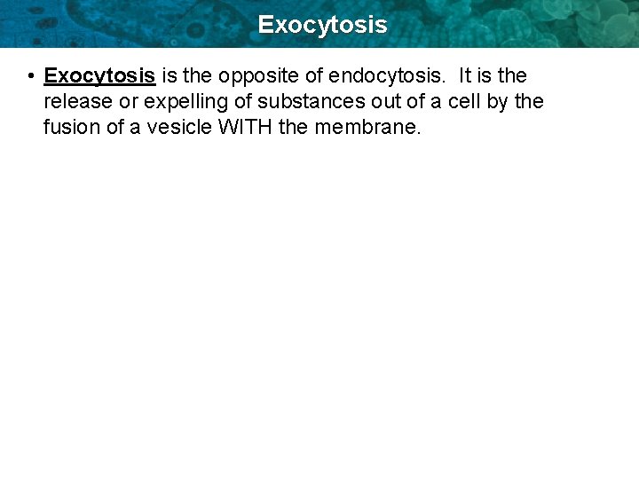 Exocytosis • Exocytosis is the opposite of endocytosis. It is the release or expelling