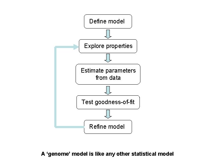 Define model Explore properties Estimate parameters from data Test goodness-of-fit Refine model A ‘genome’